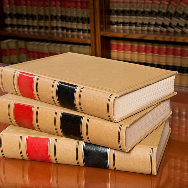 con nuevas tecnologías y comercio 