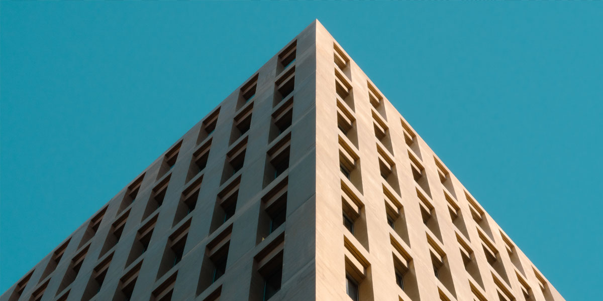  consolidado su reputación