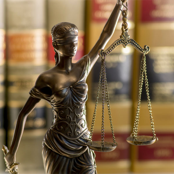 especializado en derecho procesal